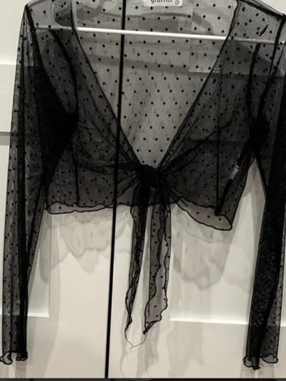 Elegant Black Sheer Tie-Front Blouse